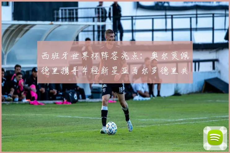西班牙世界杯阵容亮点：奥尔莫佩德里携手年轻新星亚马尔罗德里共赴荣耀之战